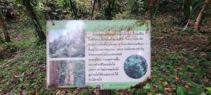 “เรียนรู้ธรรมชาติผ่านสายน้ำตก”
