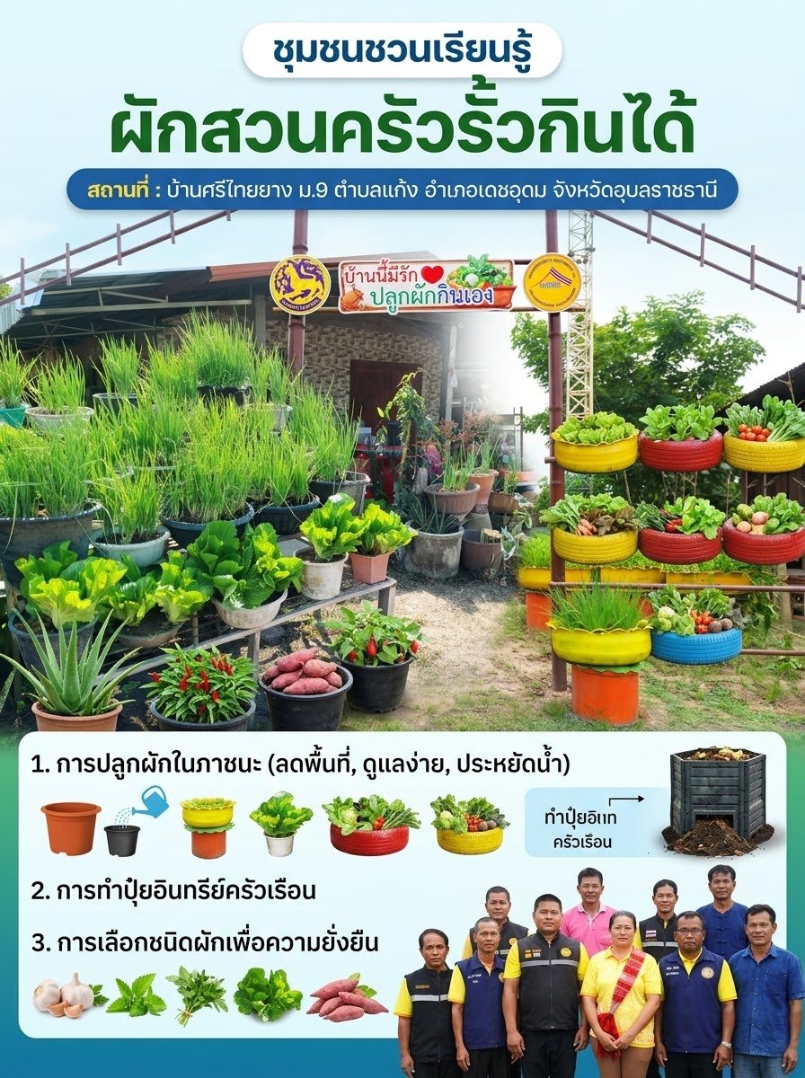 ผักสวนครัวรั้วกินได้