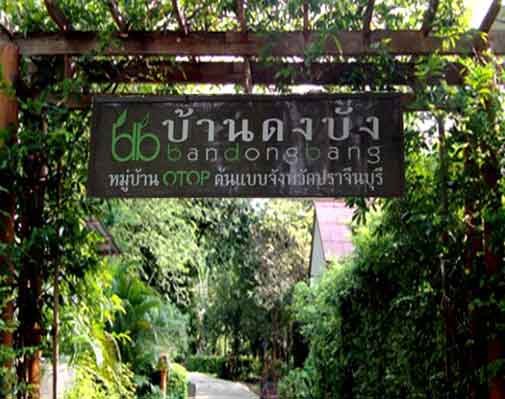 หมู่บ้านสมุนไพรเกษตรอินทรีย์ บ้านดงบัง