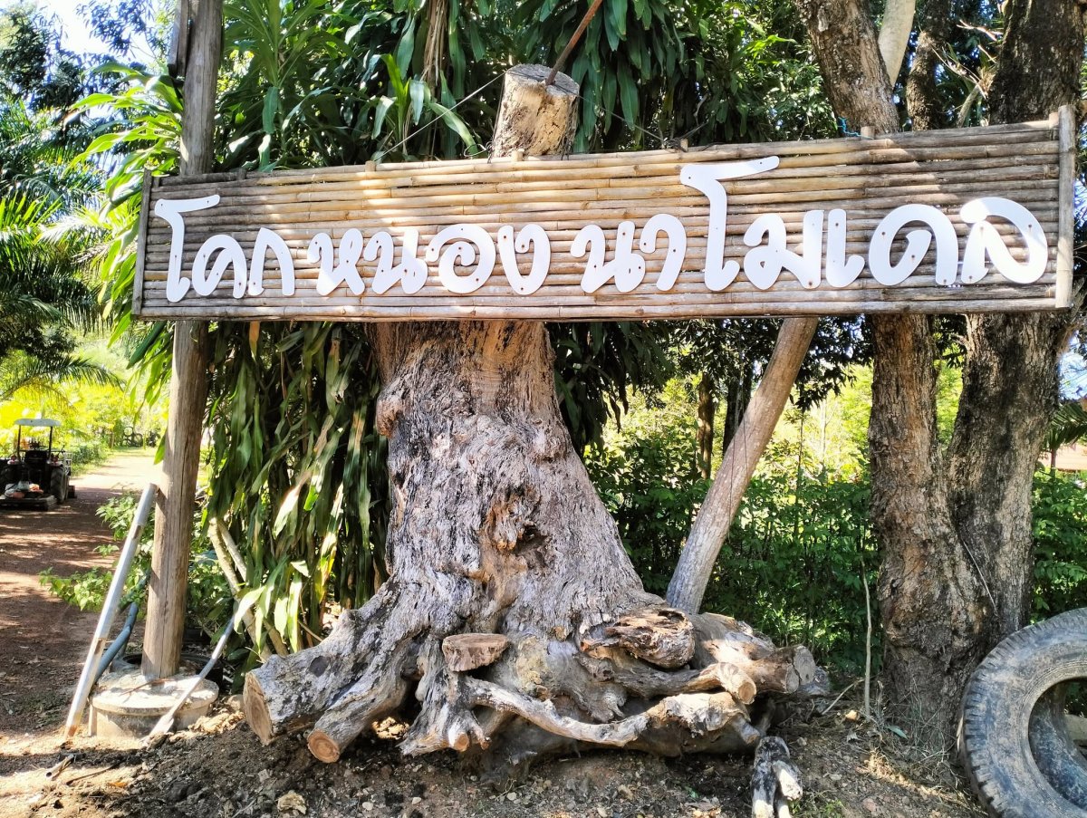 ศูนย์เรียนรู้โคกหนองนาโมเดล บ้านเนินผาสุก