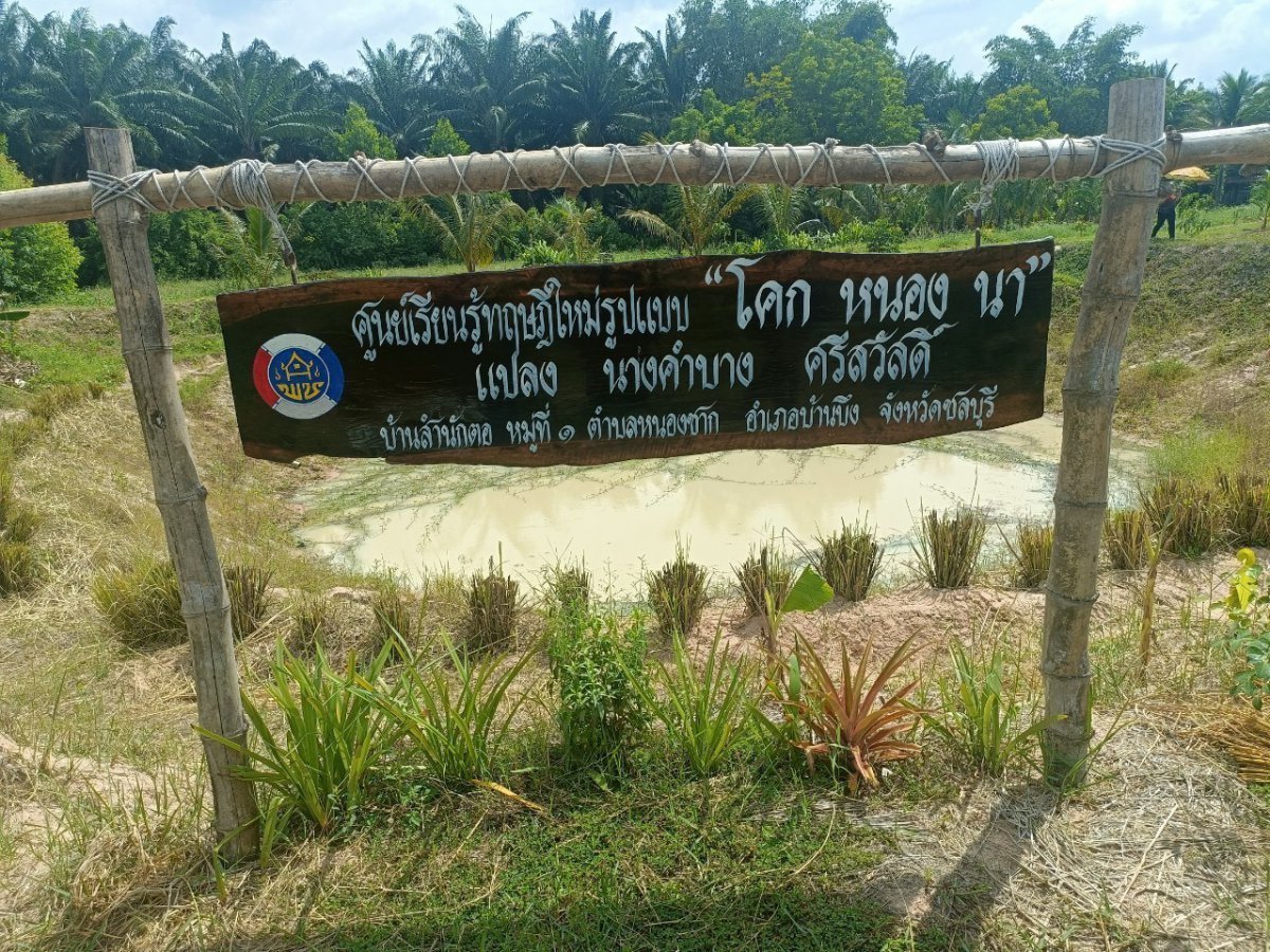 นางคำบาง ศรีสวัสดิ์(ศูนย์เรียนรู้ทฤษฎีใหม่รูปแบบ "โคก หนอง นา" แปลง นางคำบาง ศรีสวัสดิ์)