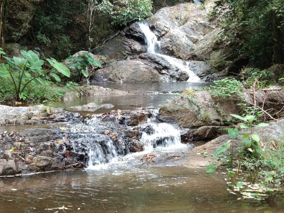 อุทยานแห่งชาติที่ หย.2 (น้ำตกขาอ่อน)