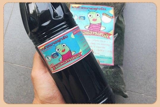 นางประเรียน กวนคำอุ้ย