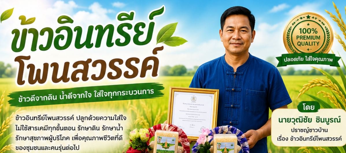 การทำข้าวอินทรีย์ อำเภอโพนสวรรค์ จังหวัดนครพนม
