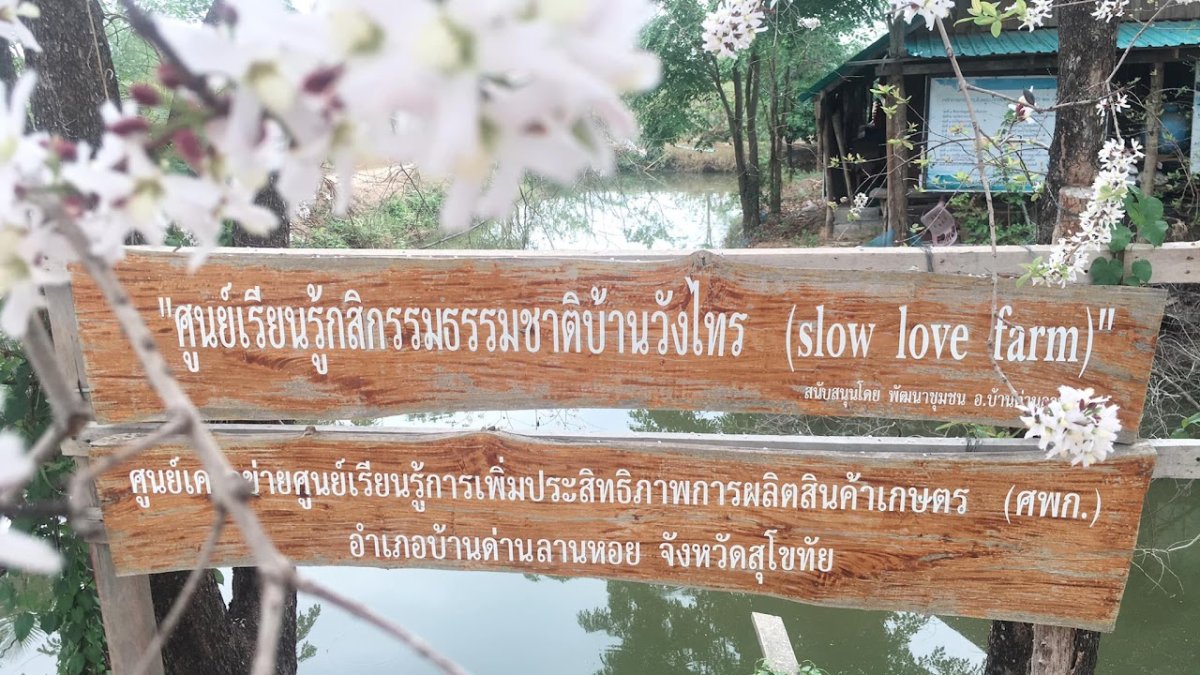 ศูนย์กสิกรรมธรรมชาติบ้านวังไทร