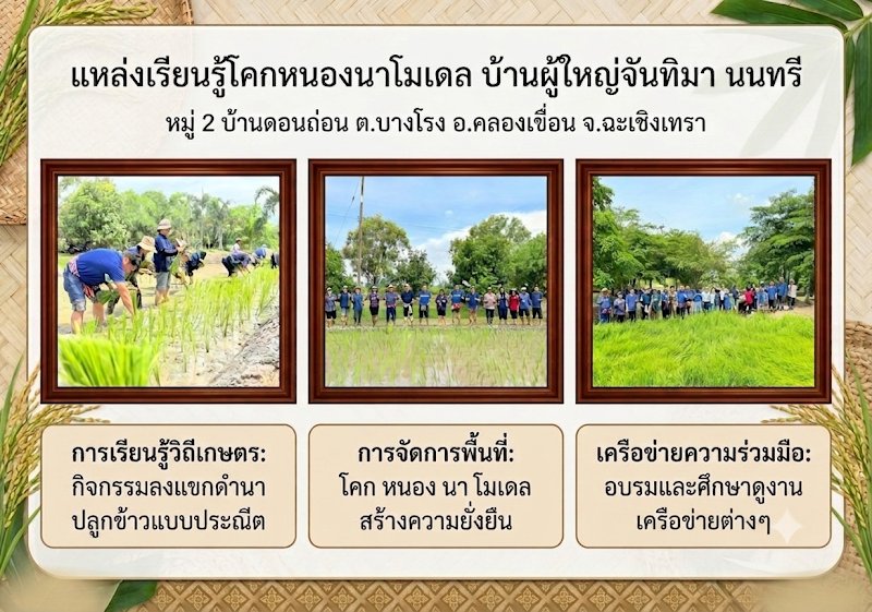 โคกหนองนาโมเดล บ้านผู้ใหญ่จันทิมา นนทรี  
