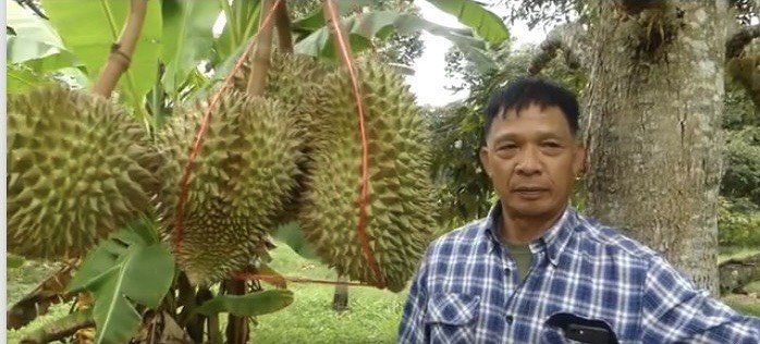 นายเพชรพร โกมลฤทธิ์