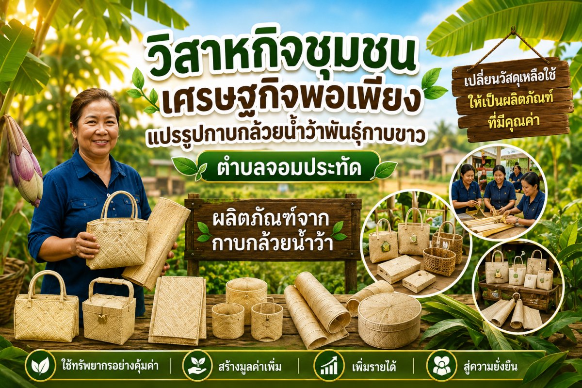 นางทิพวรรณ เกิดป้าน (แปรรูปกาบกล้วยน้ำว้าพันธ์กาบขาว)