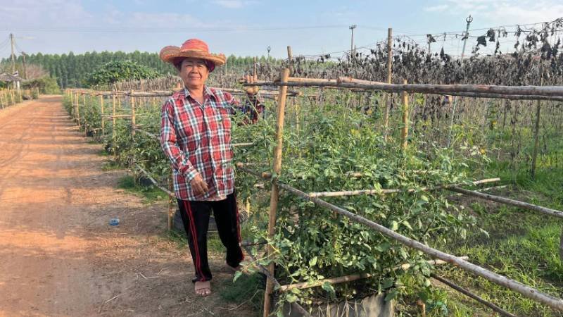 ศูนย์เรียนรู้การพัฒนาคุณภาพชีวิตตามหลักทฤษฎีใหม่ประยุกต์สู่ “โคก หนอง นา” แปลงนางชุดชา แน่นหนา
