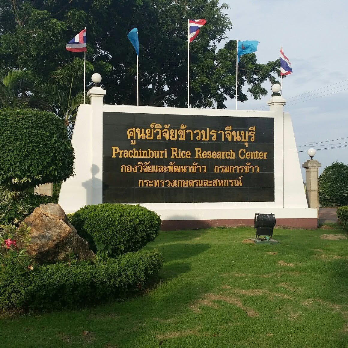 ศูนย์วิจัยข้าวปราจีนบุรี