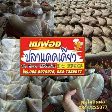 ปลาแดดเดียวแม่ฟองจันทร์