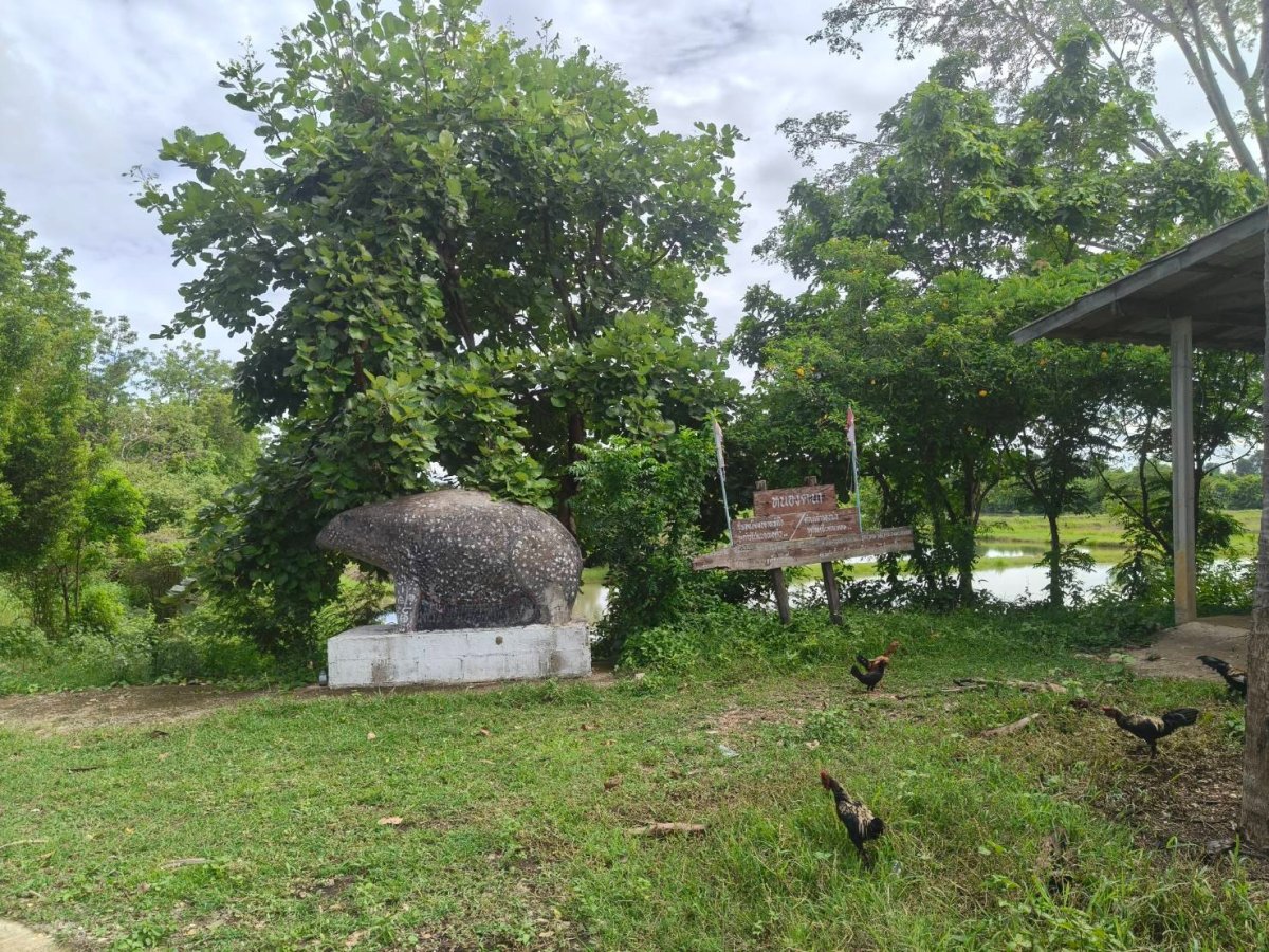 การปลูกผักปลอดภัยจากสารพิษหนองตะนา บ้านห้วยเตย