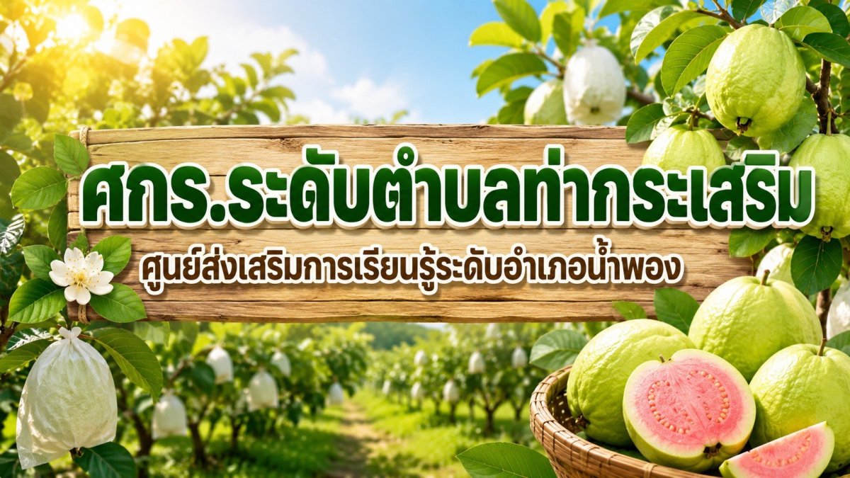 สวนฝรั่งจิมจู เกษตรพอเพียง