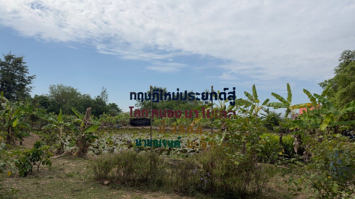 เกษตรทฤษฎีโคกหนองนาโมเดล ตำบลบางกุ้ง