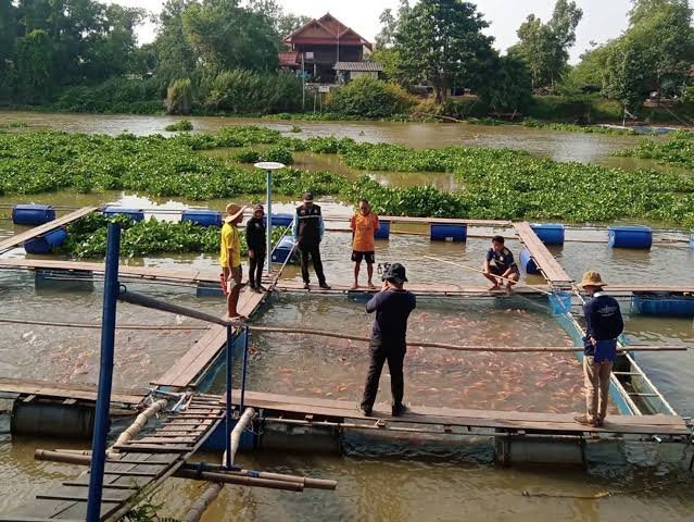 วิสาหกิจชุมชนกลุ่มเกษตรกรผู้เลี้ยงสัตว์น้ำบ้านสะพานหิน (หมู่ 6)