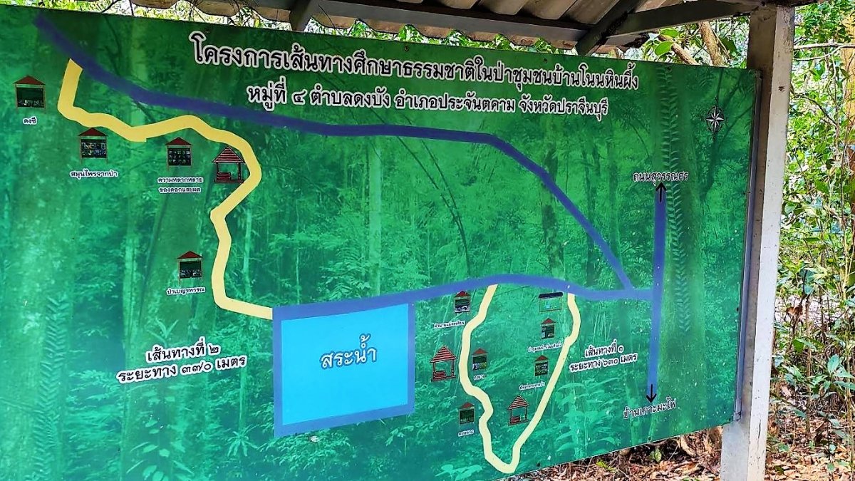 สวนป่าชุมชนบ้านโนนหินผึ้ง
