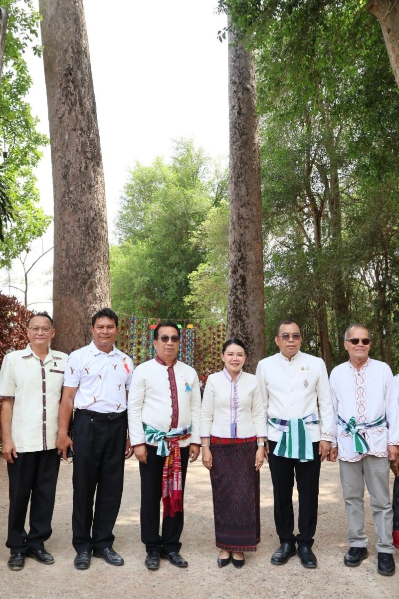 สวนต้นยางโบราณ