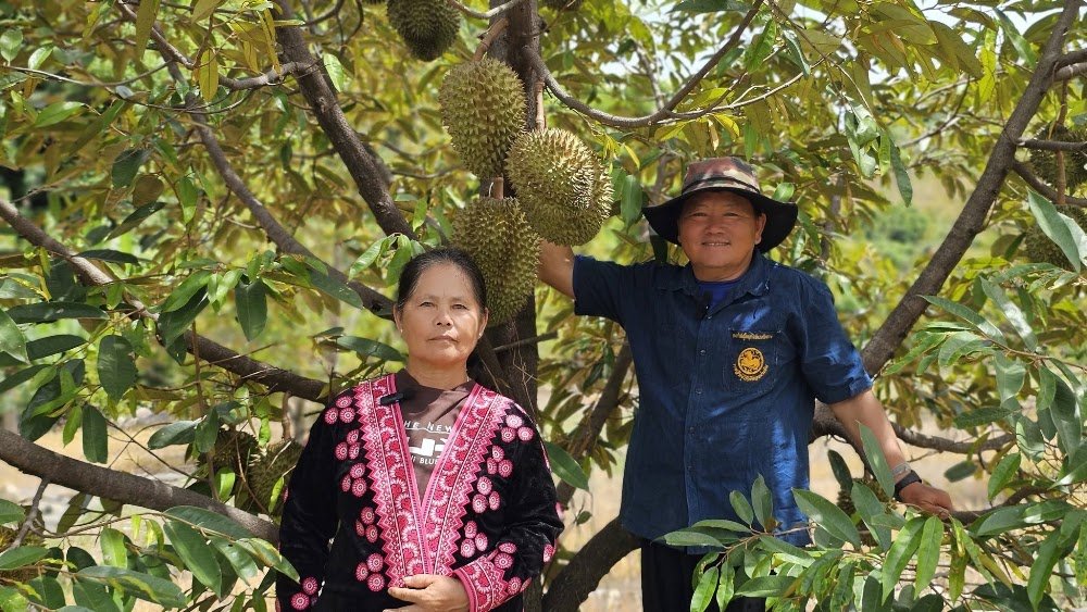 สวนผู้ใหญ่จ๋าว