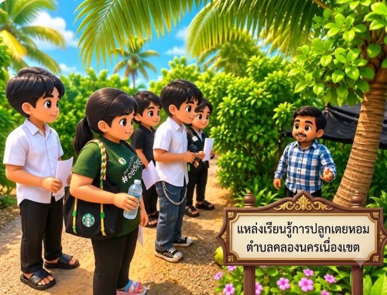 แหล่งเรียนรู้การปลูกเตยหอม