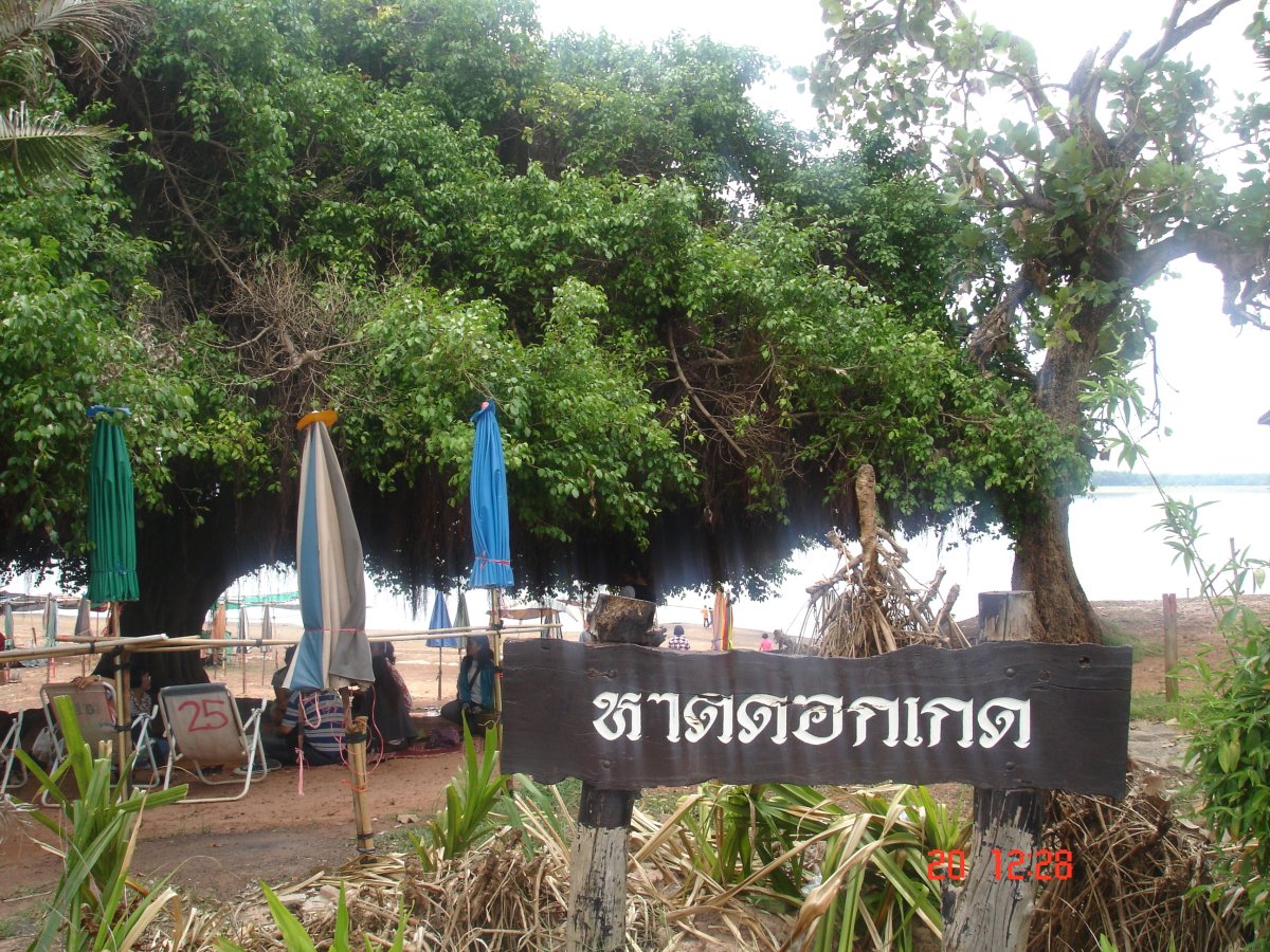 หาดดอกเกด