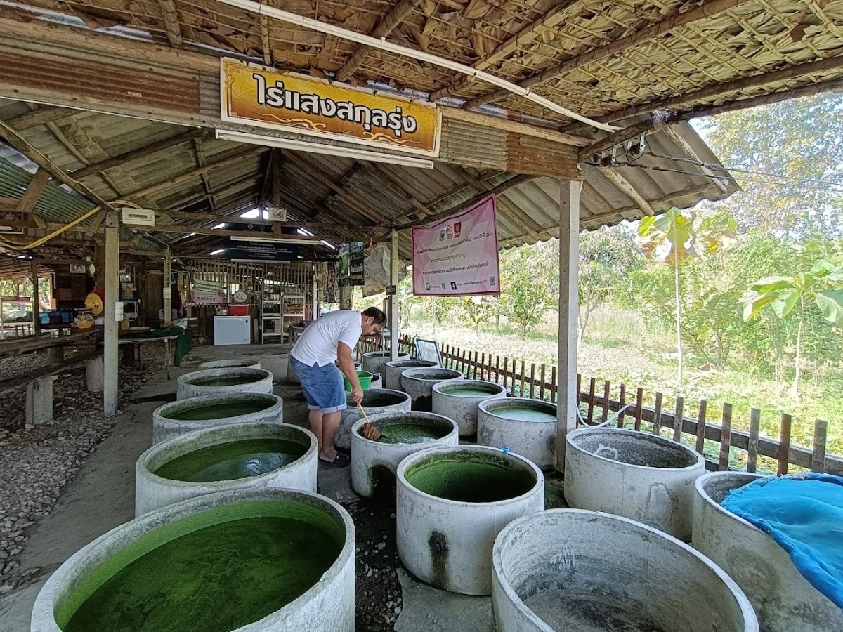 ไร่แสงสกุลรุ่ง