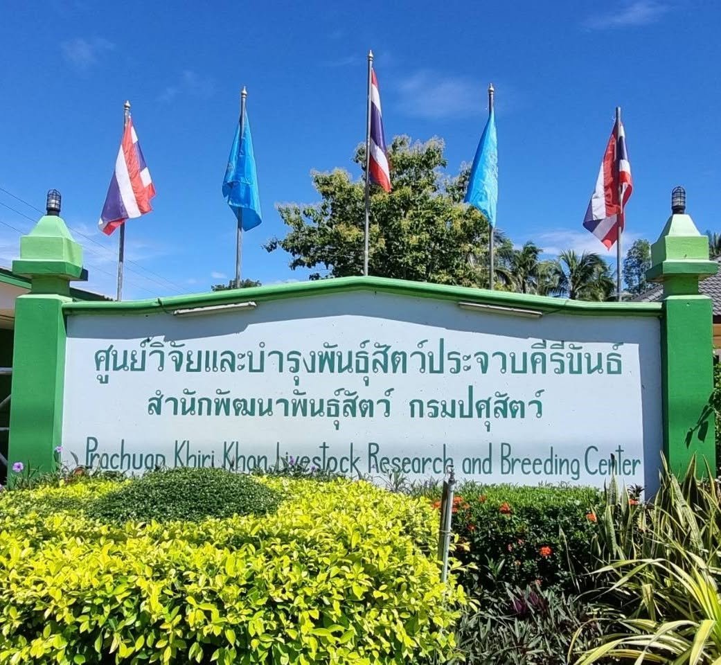 ศูนย์วิจัยและบำรุงพันธุ์สัตว์ประจวบคีรีขันธ์
