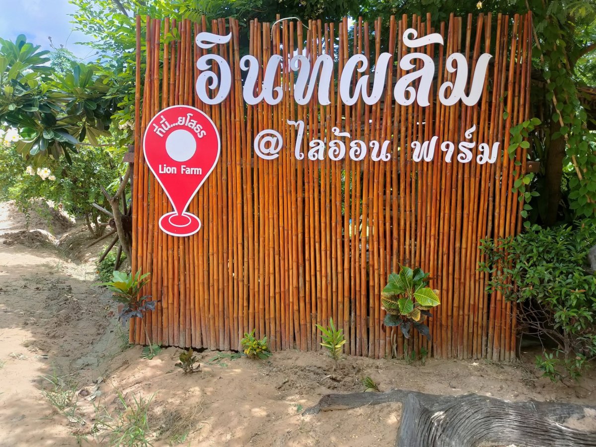 ไลอ้อนออร์แกนิคฟาร์ม