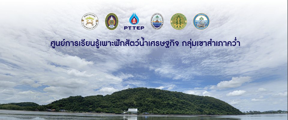 ศูนย์การเรียนรู้ธนาคารปูม้า สำเภาคว่ำ