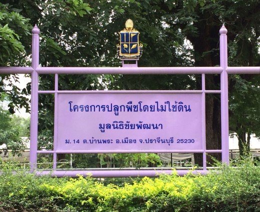 โครงการปลูกพืชโดยไม่ใช้ดิน มูลนิธิชัยพัฒนา จังหวัดปราจีนบุรี