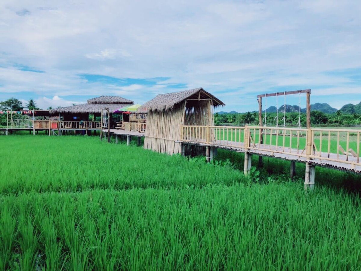 โครงการพัฒนาการปลูกข้าวเพื่อบริโภคครบวงจรในนิคมสหกรณ์อ่าวลึก อันเนื่องมาจากพระราชดำริ