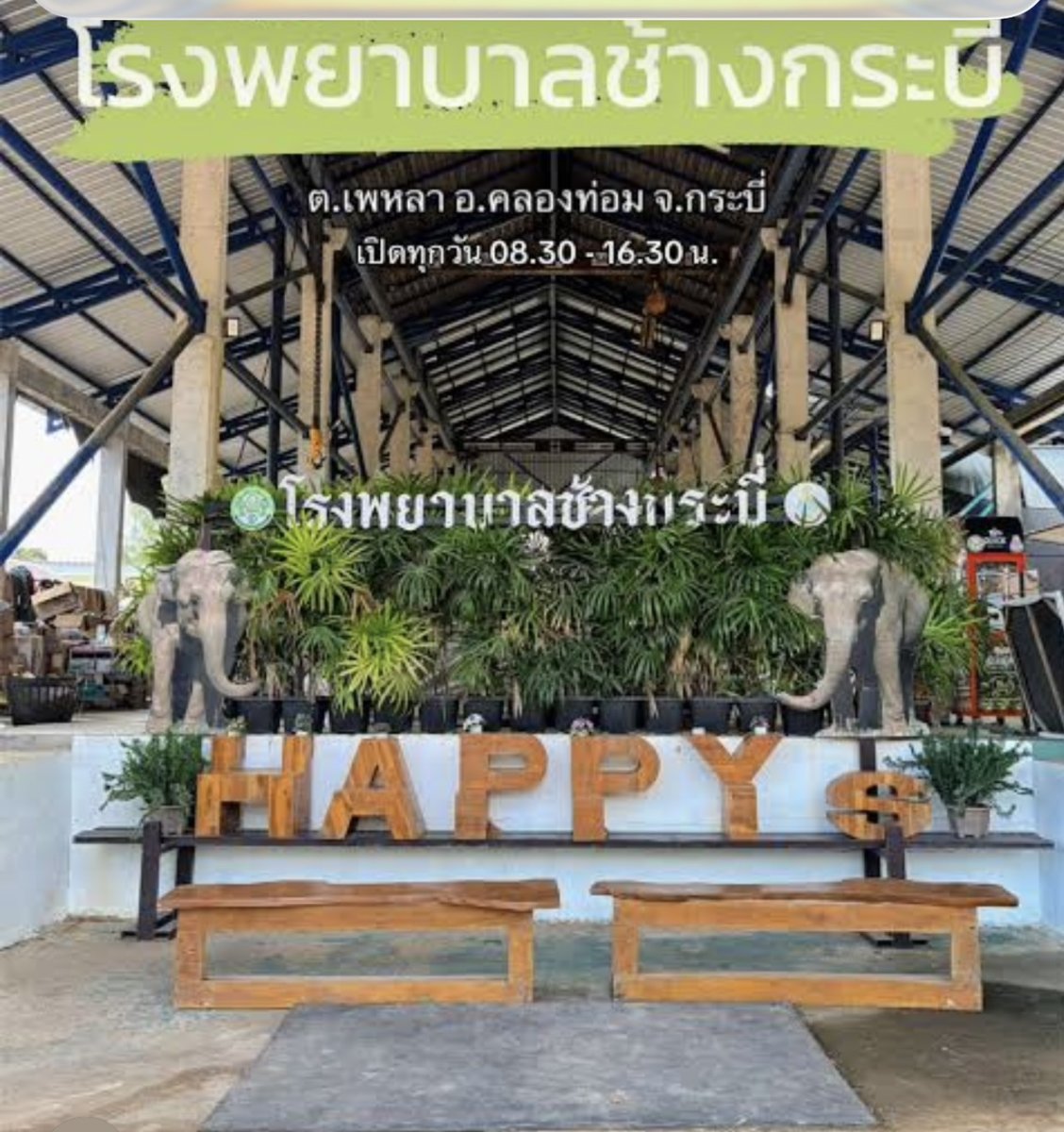 โรงพยาบาลช้าง