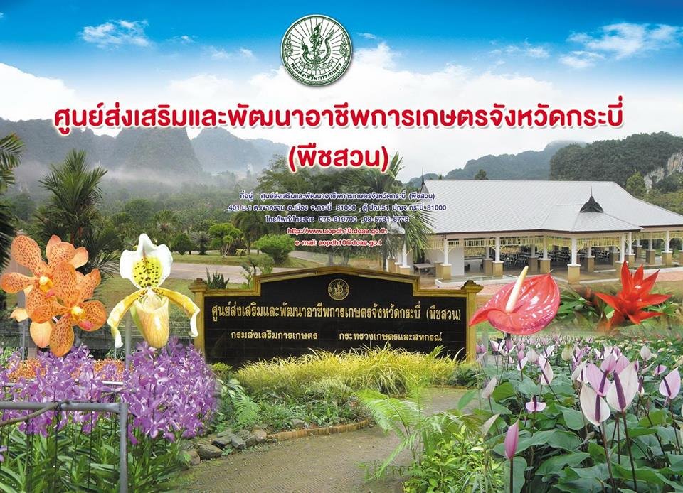 ศูนย์ส่งเสริมและพัฒนาอาชีพการเกษตรจังหวัดกระบี่