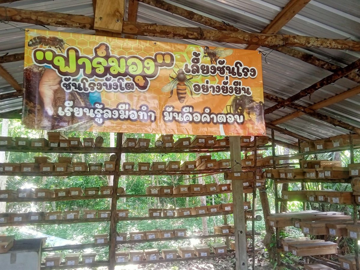 นายสหัส รายาโส้