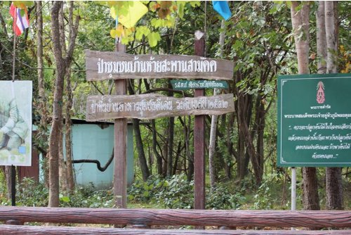 ป่าชุมชนบ้านห้วยสะพาน
