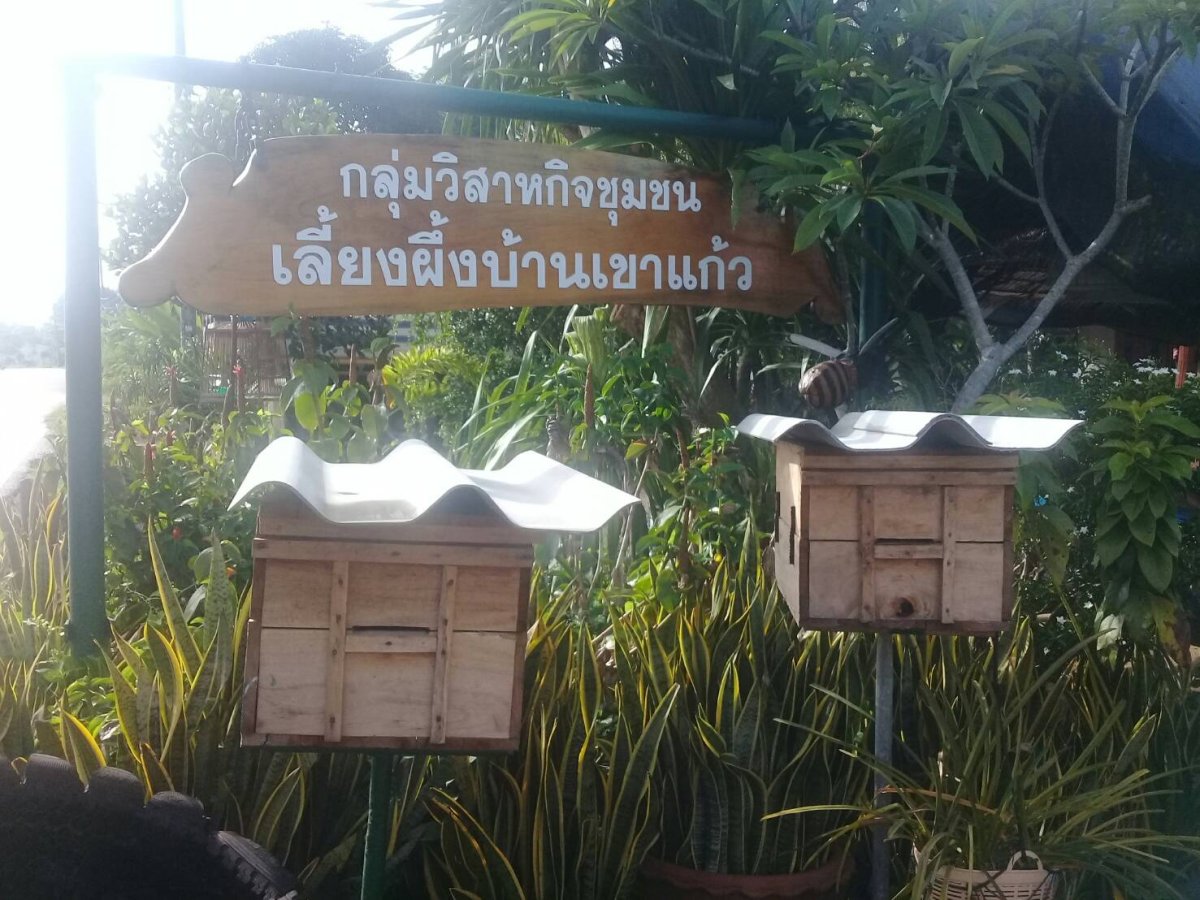 กลุ่มวิสาหกิจชุมชนเลี้ยงผึ้งบ้านเขาแก้ว
