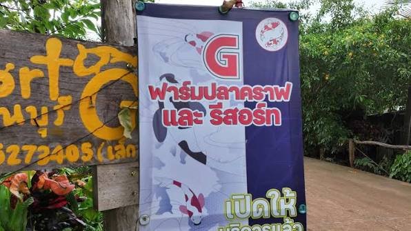 G Koi Farm Resort Kanchanaburi