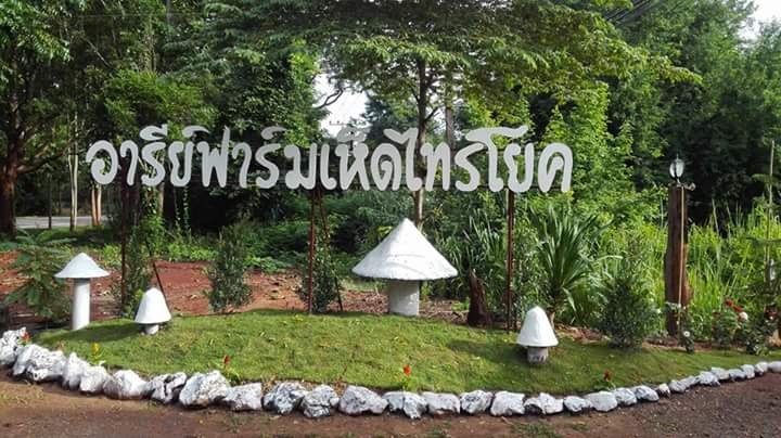 ศูนย์การเรียนรู้บ้านเห็ด