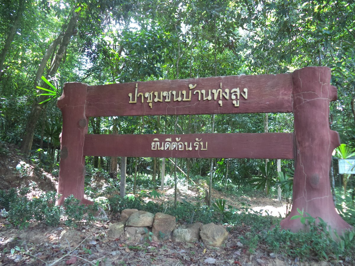 สวนป่าเฉลิมพระเกียรติบ้านทุ่งสูง หมู่ที่ 4 ตำบลเขาใหญ่