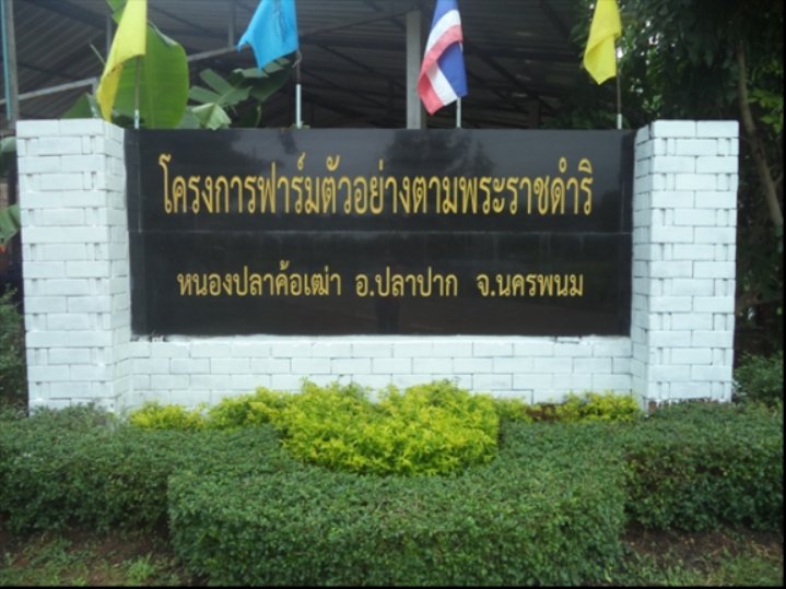 โครงการฟาร์มตัวอย่างหนองปลาค้อเฒ่า โครงการอันเนื่องมาจากพระราชดำริ ตำบลกุตาไก้ อำเภอปลาปาก