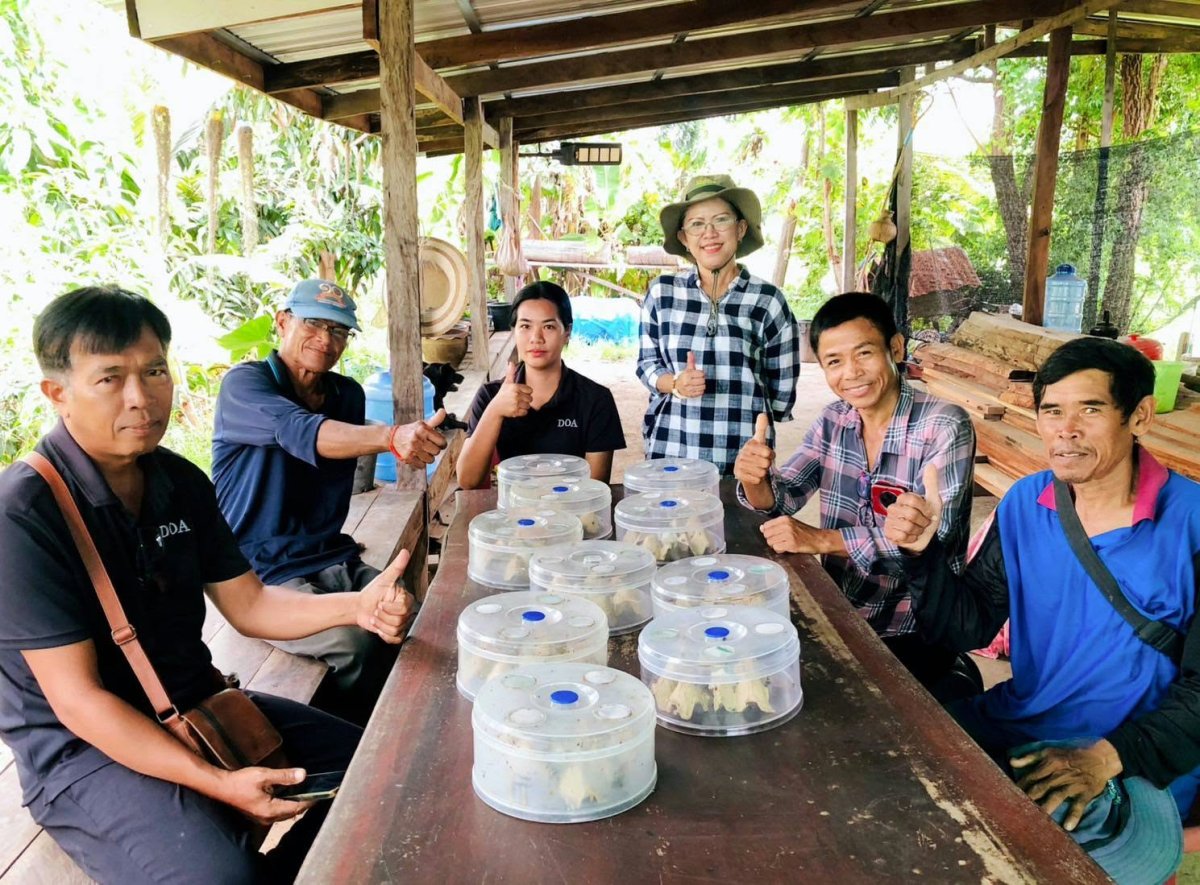 นางเรณู   แก้วศรี