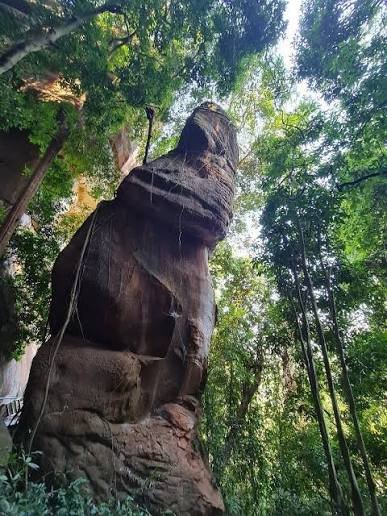 ถ้ำนาคี