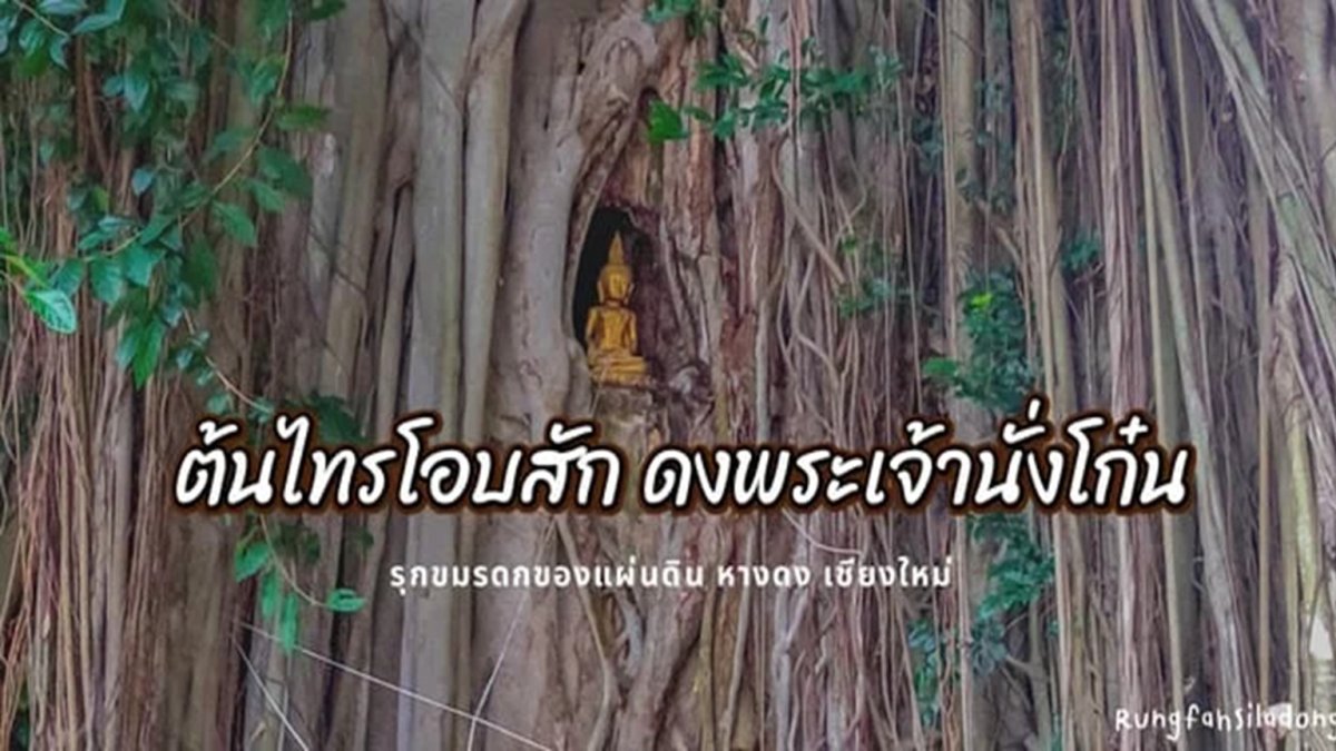 ดงพระเจ้านั่งโก๋น