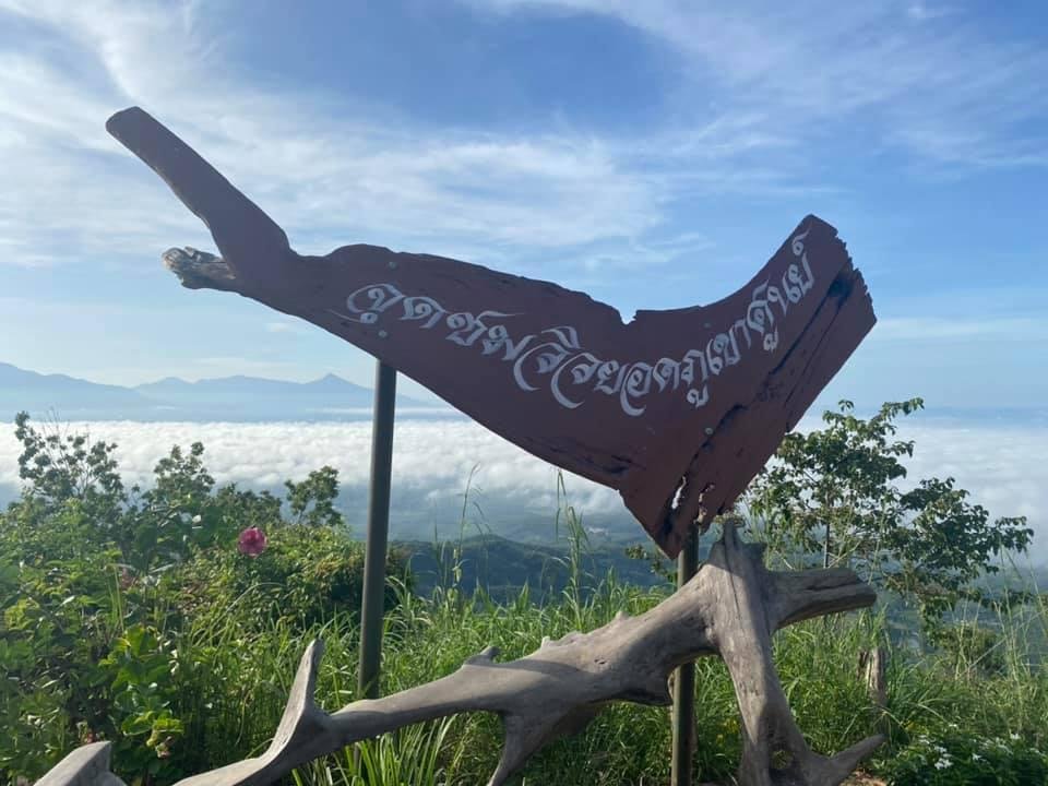 เขาศูนย์ 