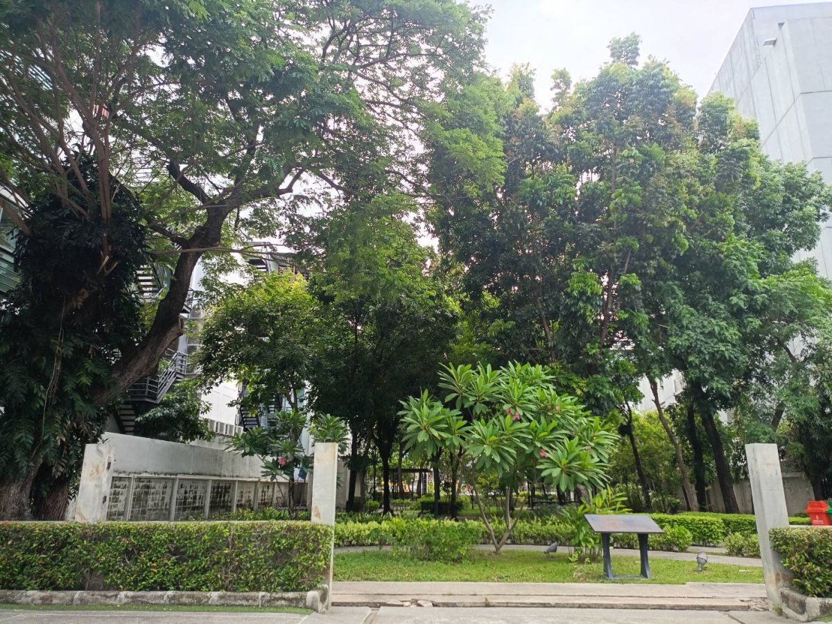 สวนสาธารณะวังทอง 2