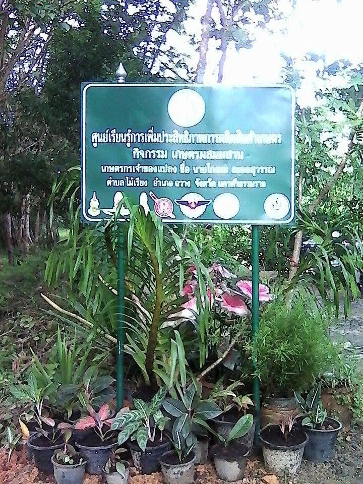 แหล่งเรียนรู้ตามหลักปรัชญาเศรษฐกิจพอเพียงบ้านท้ายทุ่ง (บ้านนายโกเมท  ละออสุวรรณ)