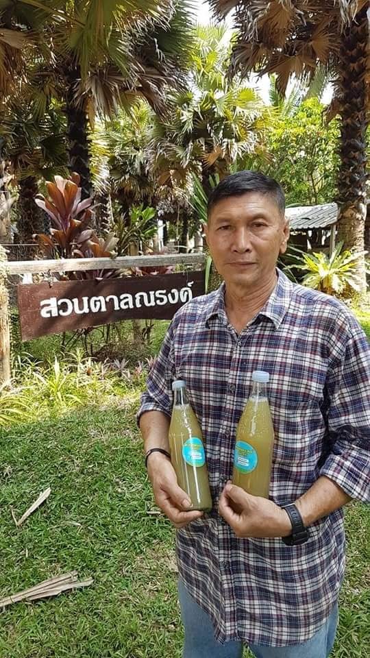 สวนตาลณรงค์