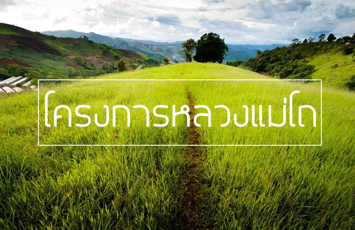 ศูนย์พัฒนาโครงการหลวงแม่โถ