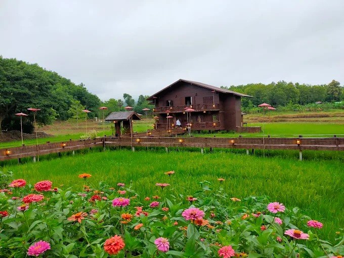 โฮมสเตย์บ้านนาต้นจั่น (ท่องเที่ยวชุมชนบ้านนาต้นจั่น)