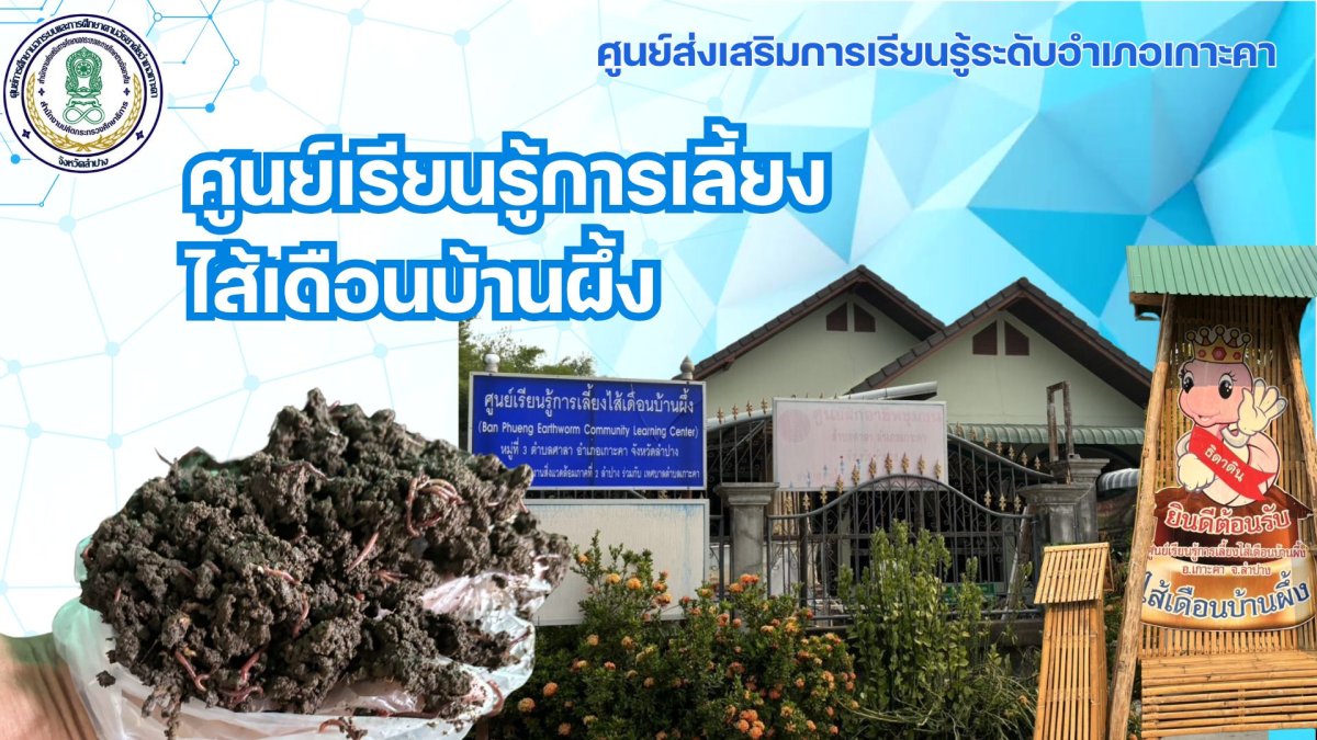 กลุ่มเลี้ยงไส้เดือนชุมชนบ้านผึ้ง