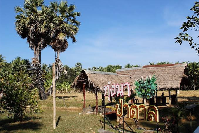 แหล่งเรียนรู้ท่งนา ป่าตาล